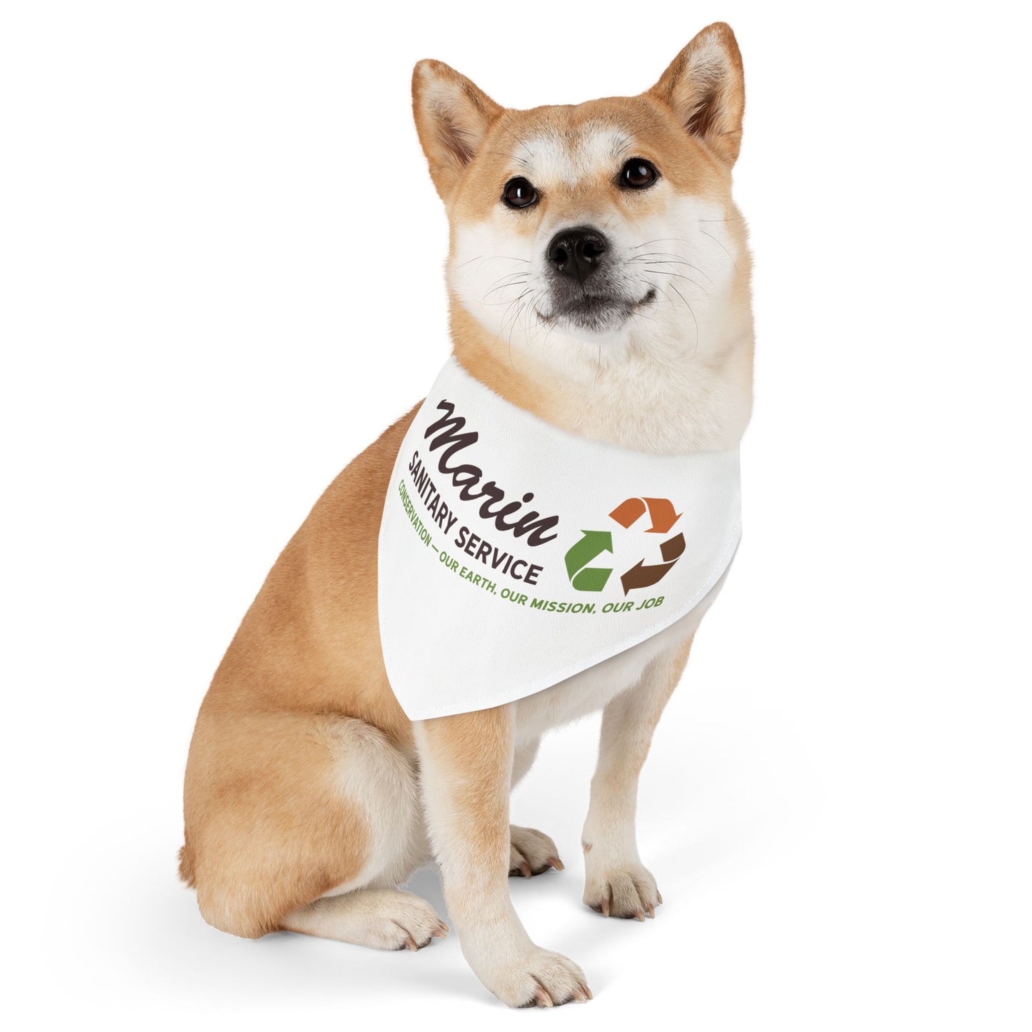 Pet Bandana Collar