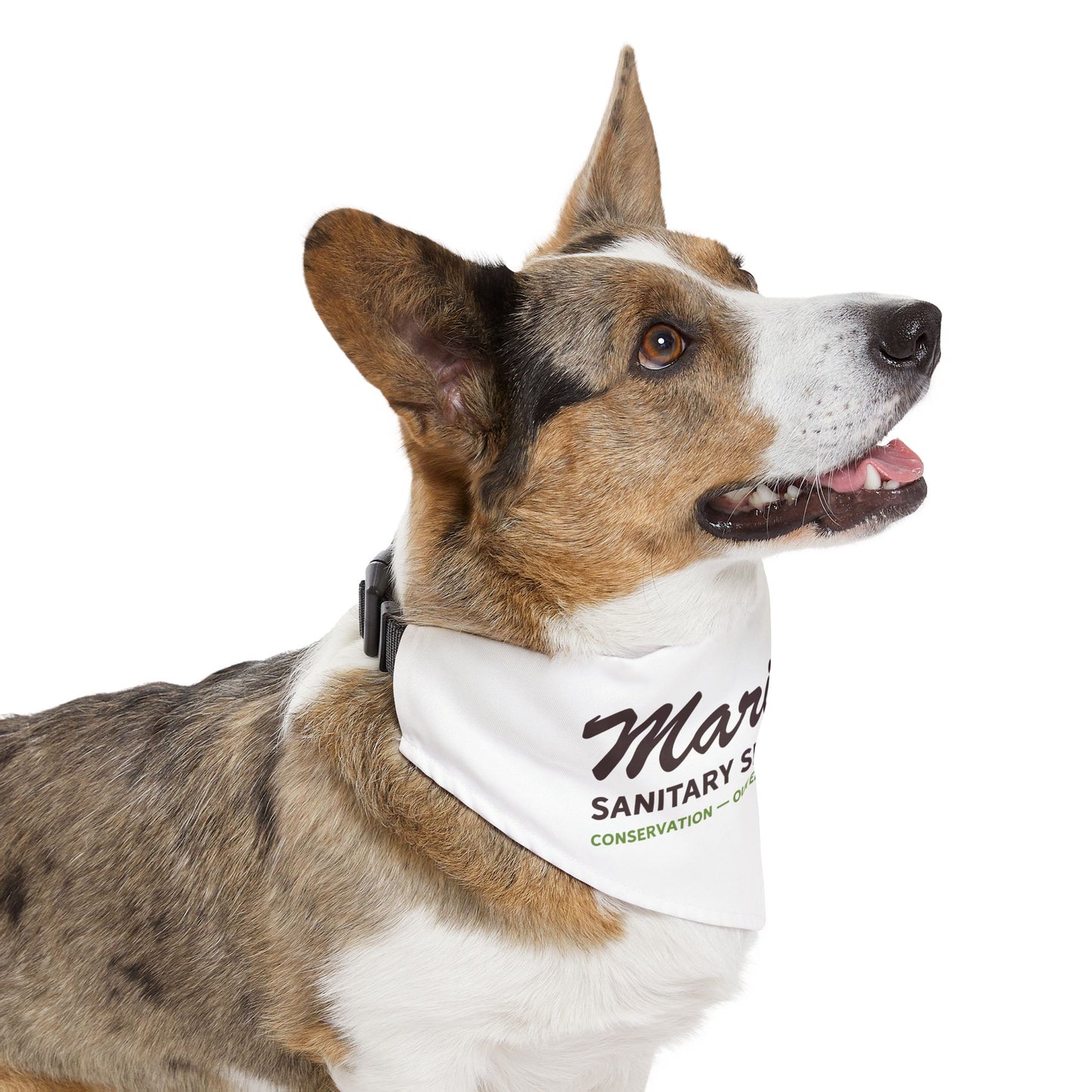 Pet Bandana Collar