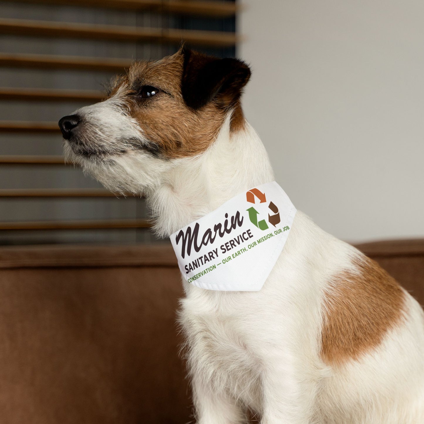 Pet Bandana Collar